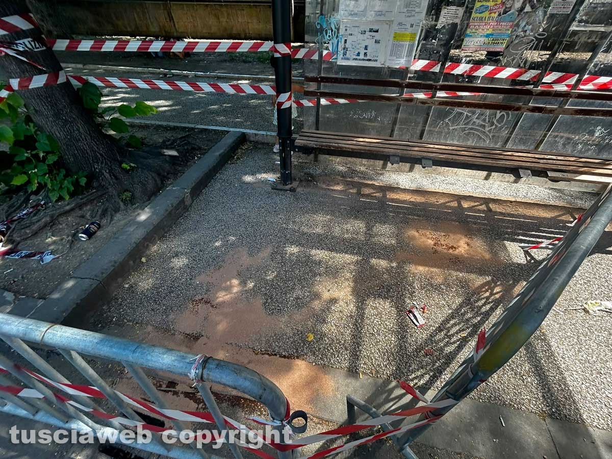 Viterbo - Rissa a bottigliate o coltellate nella notte in viale Trento - Sangue dappertutto