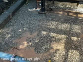 Viterbo - Rissa a bottigliate o coltellate nella notte in viale Trento - Sangue dappertutto