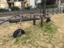 Ritorno alla quasi normalità a Tobia