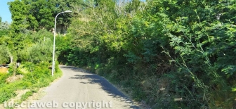 Roccalvecce dall'autobus