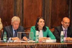 Michelini, Ciambella e Fersini