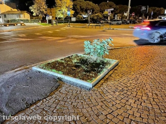 Viterbo - Piazza del Sacrario nel caos