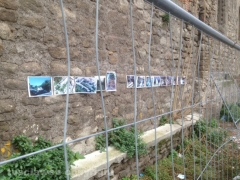 Viterbo  - Sallupara bombardata