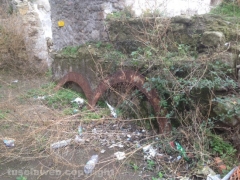 Viterbo  - Sallupara bombardata