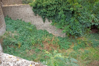 Sallupara