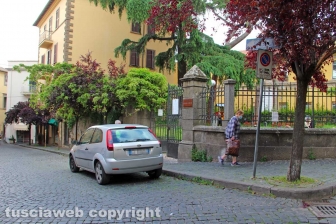 Salviamo il parco Lubich