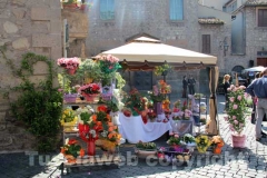 San Pellegrino in fiore