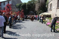 San Pellegrino in fiore
