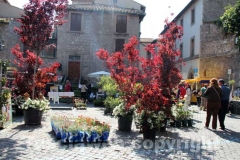 San Pellegrino in fiore