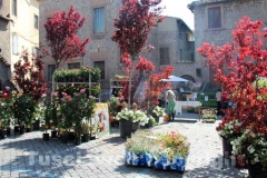 San Pellegrino in fiore