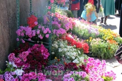 San Pellegrino in fiore