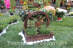 San Pellegrino in fiore