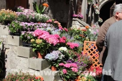 San Pellegrino in fiore