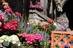 San Pellegrino in fiore