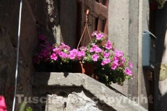 San Pellegrino in fiore