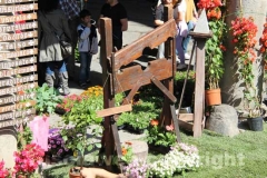 San Pellegrino in fiore