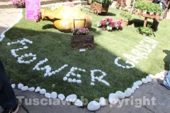 San Pellegrino in fiore