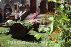 San Pellegrino in fiore