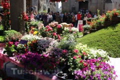 San Pellegrino in fiore