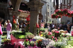 San Pellegrino in fiore