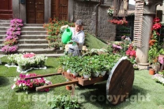 San Pellegrino in fiore