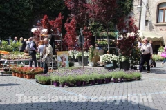 San Pellegrino in fiore