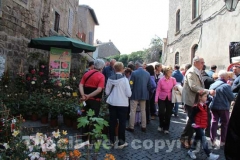 San Pellegrino in fiore