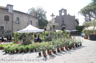 San Pellegrino in fiore 2015