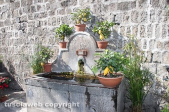 San Pellegrino in fiore 2015