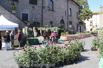 San Pellegrino in Fiore 2016