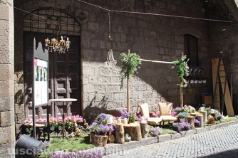 San Pellegrino in Fiore 2016