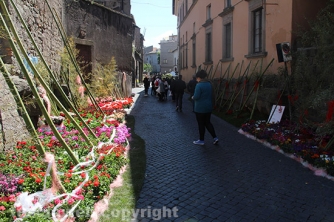 San Pellegrino in Fiore 2016