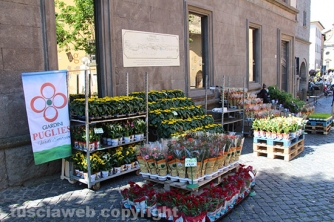 San Pellegrino in Fiore 2016