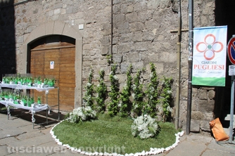 San Pellegrino in Fiore 2016