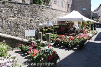 San Pellegrino in Fiore 2016
