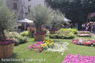 San Pellegrino in Fiore 2018