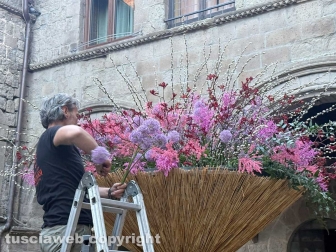 San Pellegrino in fiore 2026 - Piazza San Pellegrino