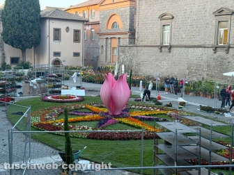 San Pellegrino in fiore 2026 - Piazza San Lorenzo
