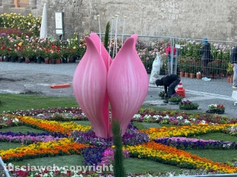 San Pellegrino in fiore 2026 - Piazza San Lorenzo