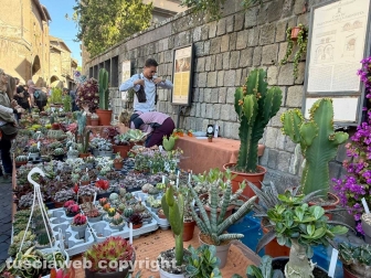 San Pellegrino in fiore - Seconda giornata - Piazza San Lorenzo