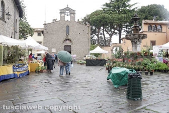 San Pellegrino senza fiori