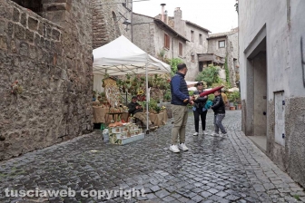 San Pellegrino senza fiori