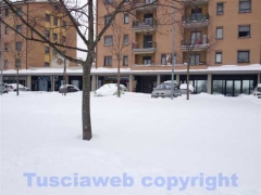 Santa Barbara sotto una montagna di neve
