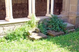 Santa Maria in Gradi