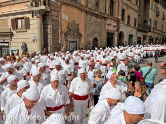 Viterbo - Santa Rosa 2023 - Il giro delle sette chiese