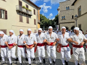 Viterbo - Santa Rosa 2023 - Il giro delle sette chiese