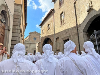 Viterbo - Santa Rosa 2023 - Il giro delle sette chiese