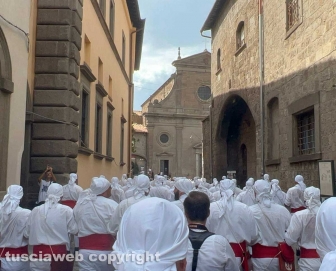 Santa Rosa 2024 - Dies Natalis - Il giro delle sette chiese dei facchini