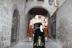 Santa Rosa - Corteo Storico 2011