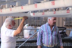 Macchina di santa Rosa - Inizia il montaggio